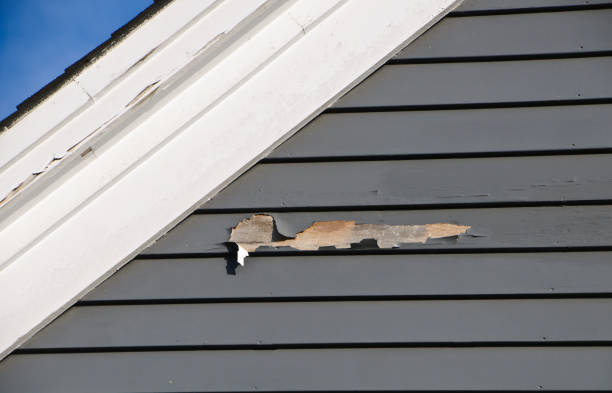 Best Construction Debris Removal  in Maurice, LA